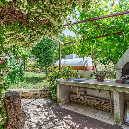 Apartment Ruzica Pomer
