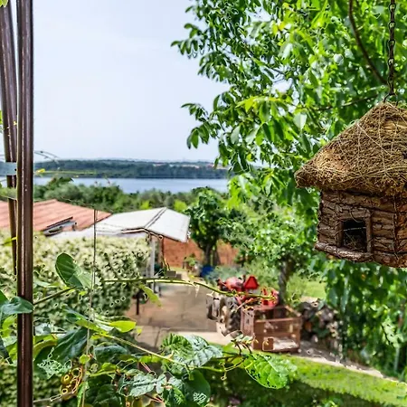 Apartment Ruzica Pomer